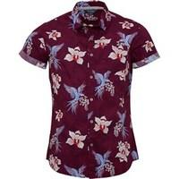 Fluid Mens All Over Tropical Print Shirt Sleeve Shirt Cassis