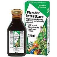 Floradix IntestCare 250ml Bottle(s)