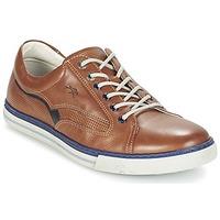 Fluchos QUEBEC men\'s Shoes (Trainers) in brown
