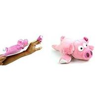 Flying Pig