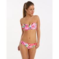 flor petunia dina bikini pink