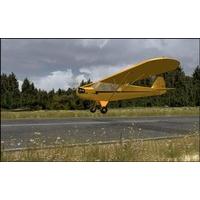 Flight Replicas Cub (PC DVD)