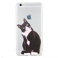 For Pattern Case Back Cover Case Cat Soft TPU for Apple iPhone 6s Plus iPhone 6 Plus iPhone 6s iPhone 6 iPhone SE/5s iPhone 5