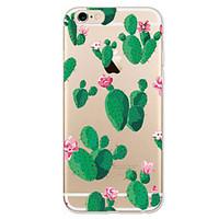 For Apple iPhone 7 7Plus 6S 6Plus Case Cactus Pattern HD TPU Phone Shell Material Phone Case