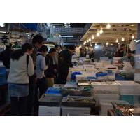 Food Tour at Tsukiji Fish Market