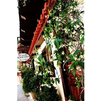 Four Seasons Pension Guest House