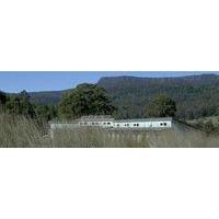 Forest Walks Lodge