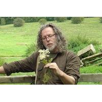 Foraging Course for One in Derbyshire