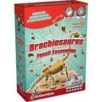 Fossil Excavation - Brachiosaurus