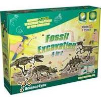 Fossil Excavation - 4 In 1