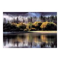 Forest Autumn Lights - Maxi Poster - 61 x 91.5cm