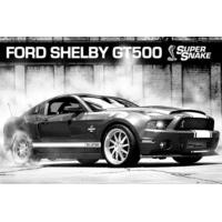 Ford Shelby Gt500 Supersnake Maxi Poster