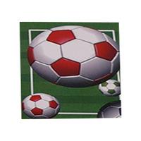 Football Mini Memo Pads