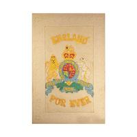 found art england forever by peter blake