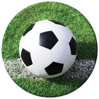 Football Party Plate
