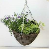Foliage Fantasy 2 Pre-Planted Rattan Hanging Baskets