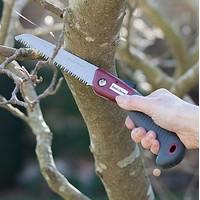 Folding Saw