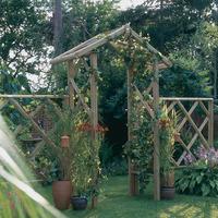 forest rose arch