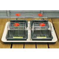 Four Top Electric Propagator by Garland