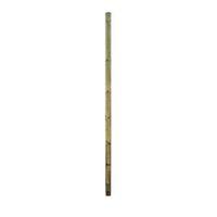 Forest Garden Timber Rail (H)3600mm (W)100mm Pack of 25