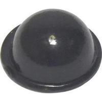 Foot self-adhesive, circular Black (Ø x H) 15.9 mm x 6.35 mm TOOLCRAFT PD2150SW 1 pc(s)