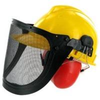 Forestry Helmet With Ear Defenders & Visor