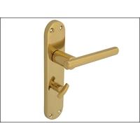 Forge Backplate Handle Bathroom - Modular Brass Finish