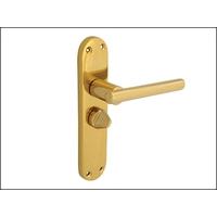 Forge Backplate Handle Privacy - Modular Brass Finish