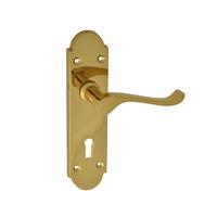 Forge Brass Gable Backplate Lock Handle