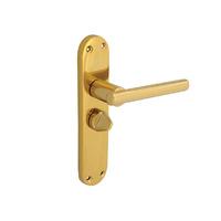 forge brass modular backplate privacy handle