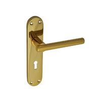 forge brass modular backplate lock handle