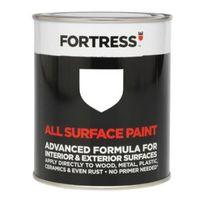 Fortress Interior & Exterior White Gloss Multipurpose Paint 250ml
