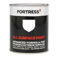 fortress interior exterior white gloss multipurpose paint 250ml