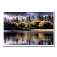 Forest Autumn Colours Poster White Framed - 96.5 x 66 cms (Approx 38 x 26 inches)