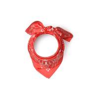 Foulard Bandana soie 80x80