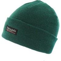 Forest Green Thinsulate Ski Hat