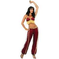 Forum Novelties 74984 Standard Size Ruby Dancer Costume Fits Women With A 34 To