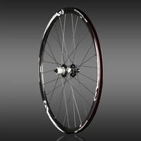 Forza Cirrus Clincher Disc Road Bike Wheelset