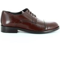 Fontana 5576-C Elegant shoes Man Brown men\'s Smart / Formal Shoes in brown