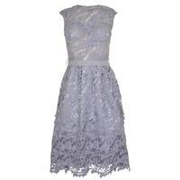 FOREVER UNIQUE Laila Midi Lace Dress