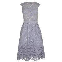 FOREVER UNIQUE Laila Midi Lace Dress