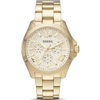 Fossil Watch Cecile Ladies