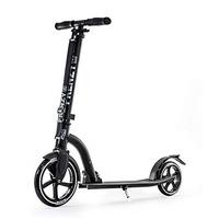 Frenzy 230 Recreational Scooter - Black