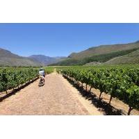 Franschhoek Vignerons Sip and Cycle Bike Tour from Cape Town