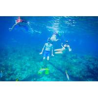 Freeport Reef Snorkeling Adventure with Beach Break and Shopping