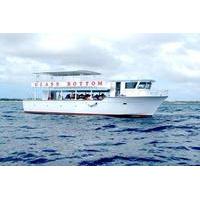 Freeport Glass-Bottom Boat Cruise