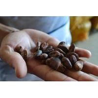 From Cacao to Chocolate: Private...