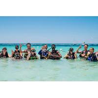 freeport discover scuba diving experience