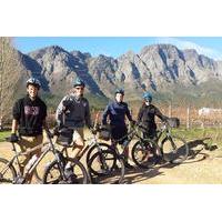 Franschhoek Valley Wine and Bike Tour from Cape Town