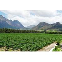 franschhoek winelands guided half day tour from cape town